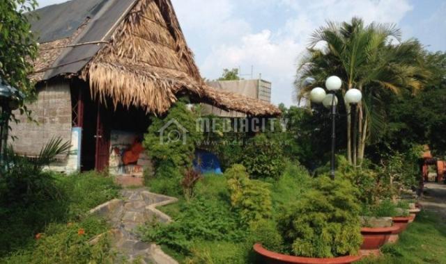 Bán nhà vườn đẹp 10.000 m2 nhiều cây ăn trái, ao, xã Nhị Thành, huyện Thủ Thừa, Long An giá 6 tỷ