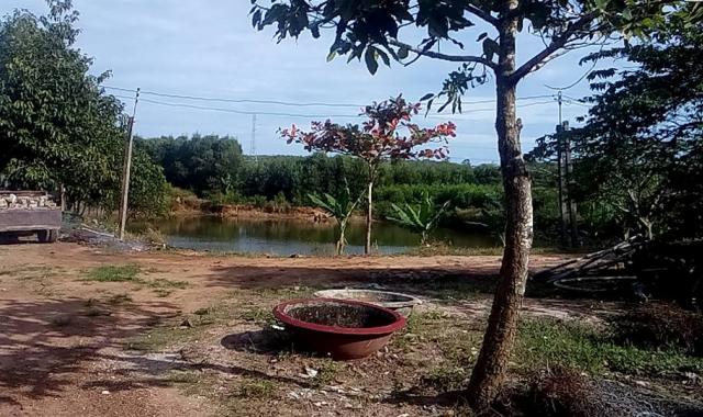 32.89 ha đất trang trại gà thuộc xã Bông Trang, huyện Xuyên Mộc