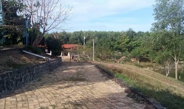 32.89 ha đất trang trại gà thuộc xã Bông Trang, huyện Xuyên Mộc