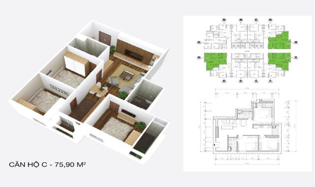 Bán căn hộ cao cấp dự án chung cư Osaka Complex giá CĐT, liên hệ 0986036167