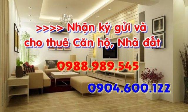 Cho thuê CH Handico 6 – Hoàng Đạo Thúy, Lê Văn Lương, LH: Mr.Huy 0904.600.122