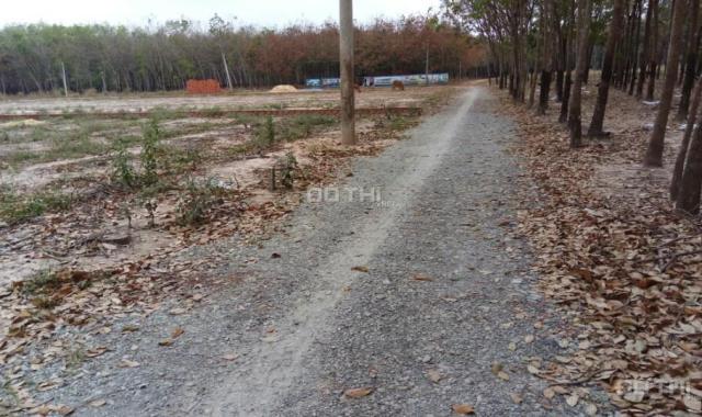 Bán đất tại đường Nguyễn Văn Thành, Xã Hòa Lợi, Bến Cát, Bình Dương diện tích 120m2 giá 235 triệu