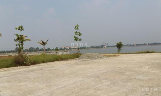Bán đất tại đường Tỉnh Lộ 10, Xã Bình Lợi, Bình Chánh, Hồ Chí Minh, diện tích 130m2, giá 6 triệu/m²