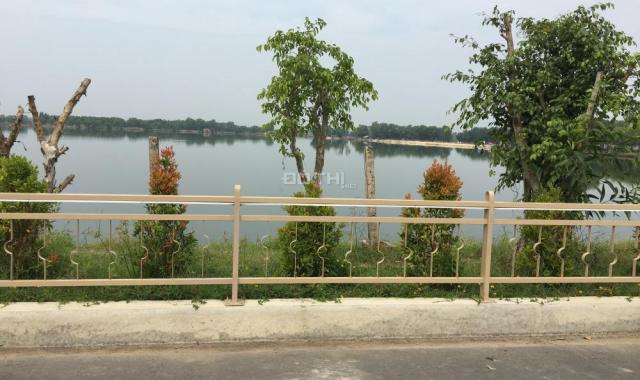 Bán đất KDC sinh thái Cát Tường Phú Sinh, giá chỉ 299 triệu/nền, CK 5-20 chỉ vàng