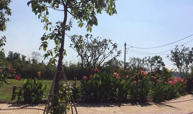 Bán đất mặt tiền An Phú Đông, đối diện Vạn Phúc Riverside, giá 15,9 tr/m2, đã có sổ hồng riêng từng