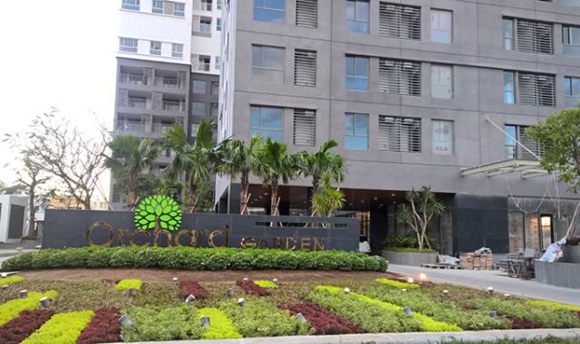 Cho thuê văn phòng dạng Officetel Orchard Garden, quận Phú Nhuận, gần Sân bay Tân Sơn Nhất