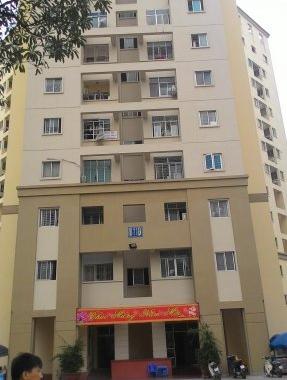 Cho thuê chung cư B11 Nam Trung Yên, 2 phòng ngủ đủ đồ, giá 8 triệu/tháng
