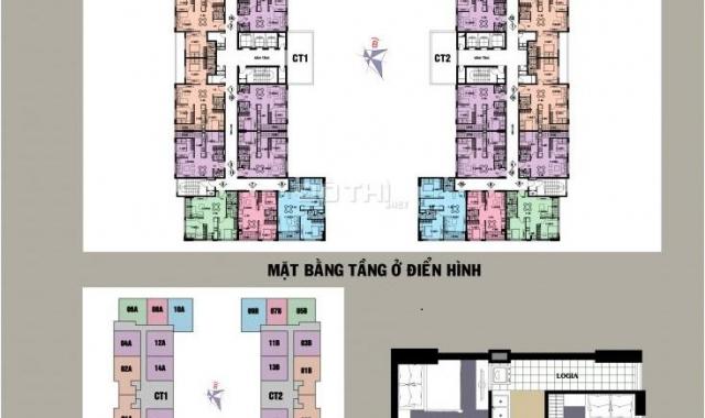 Bán căn hộ chung cư 55m2, 2 phòng ngủ, mặt đường Tam Trinh, giá chỉ 750 triệu/căn