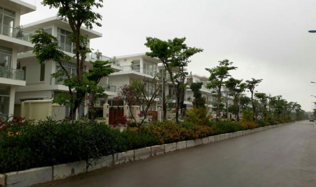 Bán nhà ở biệt thự liền kề khu du lịch nghỉ dưỡng FLC Sầm Sơn