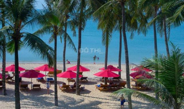 Chuyên tư vấn và kết nối đầu tư đất làm resort, khách sạn các loại hình tại Phú Quốc, lợi nhuận cao