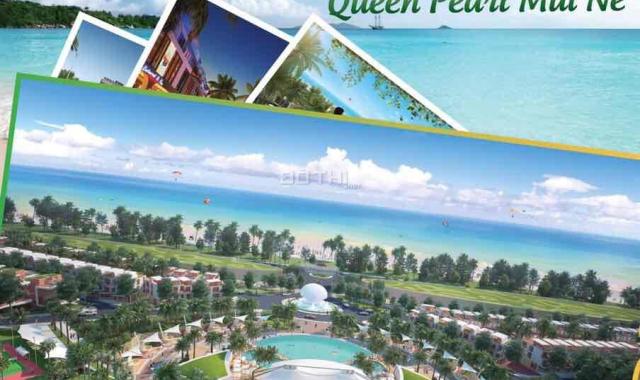 Queen Pearl dự án siêu lợi nhuận đầu tư và nghỉ dưỡng