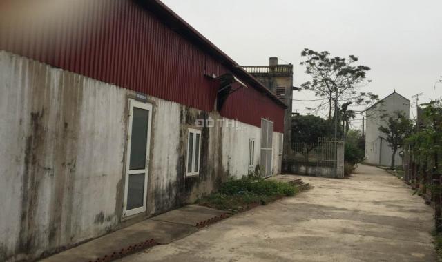 Cần bán nhà xưởng gấp tại Huyện Thanh Oai, Hà Nội