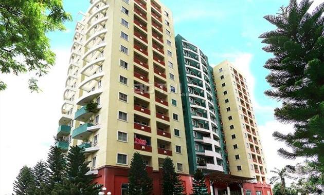 Cần bán gấp căn hộ An Lạc, Q. Bình Tân, Dt: 65 m2, 2PN