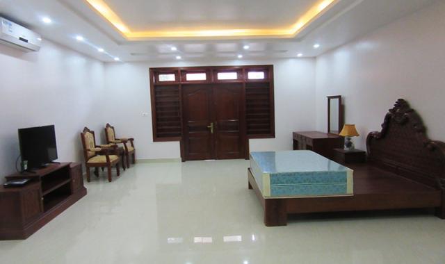 Cho thuê nhà mới xây, 8 phòng ngủ, ở Đặng Thai Mai, Tây Hồ