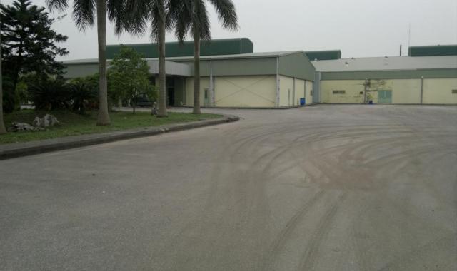 Bán kho xưởng nhà máy diện tích 4,7 ha tại Vĩnh Bảo, Hải Phòng