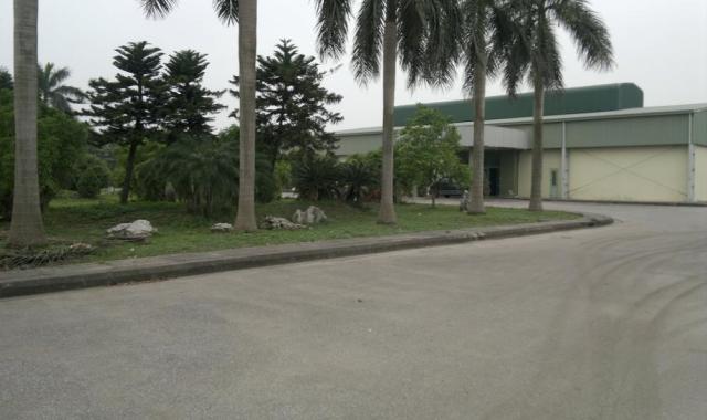Bán kho xưởng nhà máy diện tích 4,7 ha tại Vĩnh Bảo, Hải Phòng