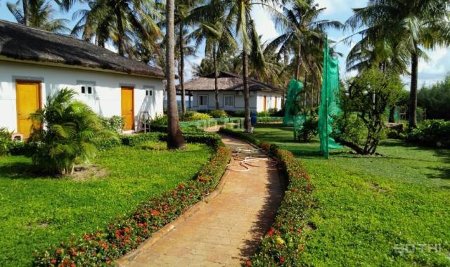 Milton Phú Quốc hệ thống khách sạn mặt tiền biển duy nhất tại Bãi Trường, Phú Quốc
