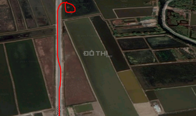 Bán đất tại đường Xuyên Á, Xã Hồ Thị Kỷ, Thới Bình, Cà Mau diện tích 6000m2