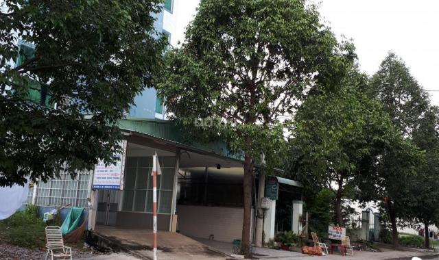 Đất tái định cư Hòa Lợi, đường N9, cạnh trạm y tế phường Hòa Phú, Thủ Dầu Một, Bình Dương, giá rẻ