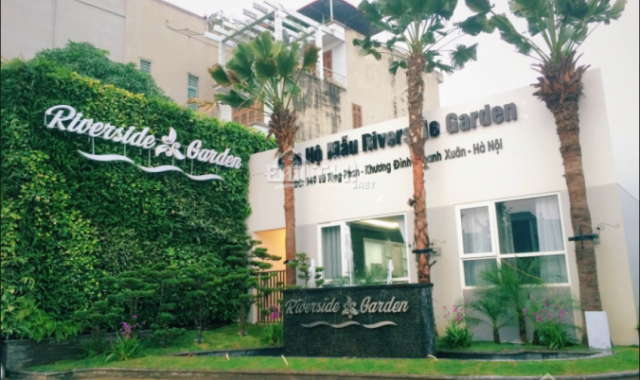 Ban quản lý dự án Riverside Garden 349 Vũ Tông Phan - Cho thuê sàn thương mại