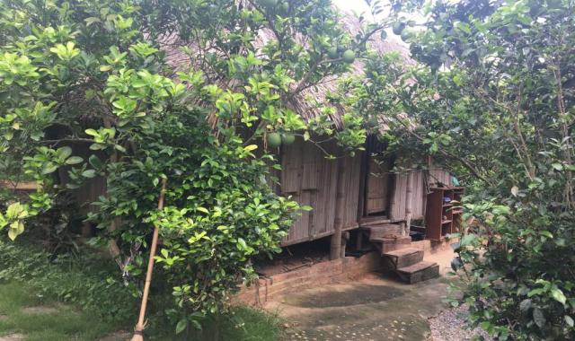 Cho khách nước ngoài thuê biệt thự nhà vườn trang trại tại Minh Phú, Sóc Sơn, Hà Nội