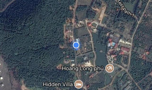 Cho khách nước ngoài thuê biệt thự nhà vườn trang trại tại Minh Phú, Sóc Sơn, Hà Nội