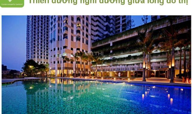 Đồng giá 22,9 tr/m2, căn hộ Singapore cao cấp ở ngay Mulberry Lane - Ở trước, trả sau