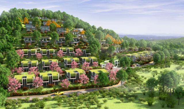 Cơ hội đầu tư biệt thự Sunny Garden Resort Hòa Bình, chỉ 1,2 tỷ, cam kết lợi nhuận 12% trong 10 năm
