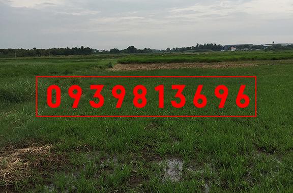 Xuất ngoại bán đất, vườn ở Tân Thạnh Đông, DT 1389m2, giá 1.1 tỷ, gọi chủ 0939813696