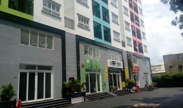 Bán căn shophouse 8X Plus mặt bằng kinh doanh (trệt + lửng) MT Trường Chinh mua trực tiếp từ CĐT 