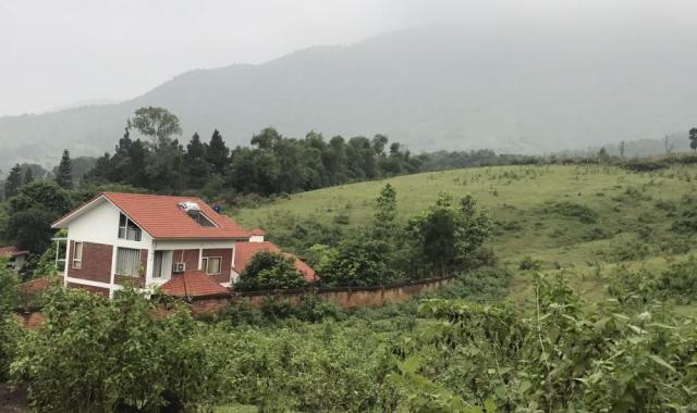 Bán đất tại Xã Tiến Xuân, Thạch Thất, Hà Nội, diện tích 16000m2, giá 16 tỷ