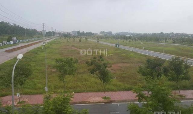 Bán đất nền dự án tại dự án KĐT mới Nam Vĩnh Yên, Vĩnh Yên, Vĩnh Phúc, DT 160m2, giá 8,1 tr/m2