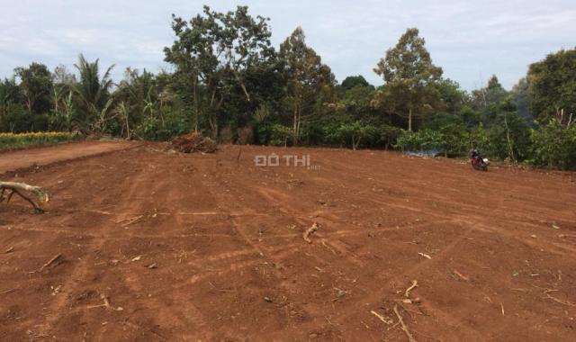 Bán các lô đất nền dự án giá từ 250tr - 750tr khu vực Y Moan, sinh lợi nhanh