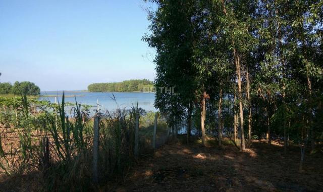 Bán 200m đất ven hồ Trị An, nơi thả hồn theo sóng nước và mây trời. Diện tích 11500m vuông