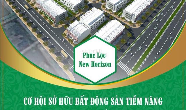 Bán đất nền liền kề tại dự án Phúc Lộc New Horizon, Hải An, Hải Phòng diện tích 125m2, giá 10tr/m2