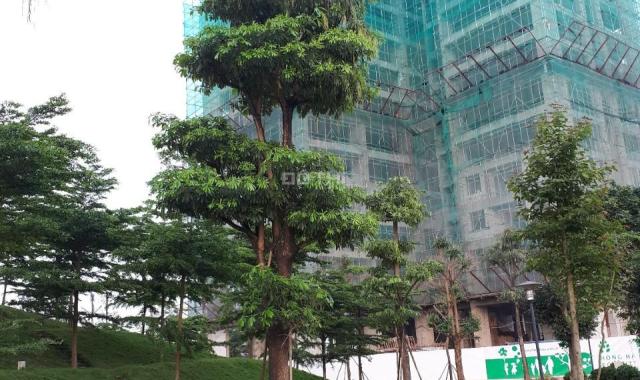 Hồng Hà Eco City hưởng trọn không gian thiên nhiên, tiện ích ngập tràn, chỉ từ 23 triệu/m2