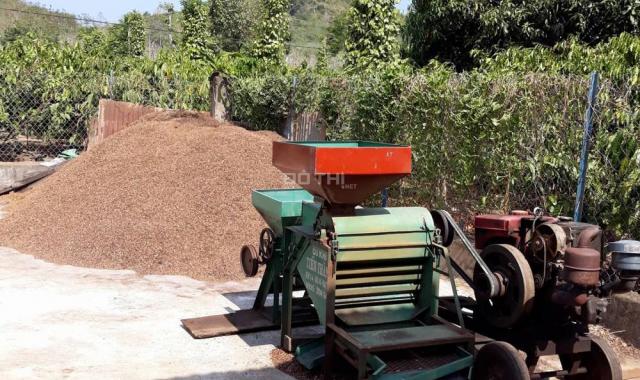 Bán 2 hecta rẫy cà phê, tiêu huyện Krông Ana, Đắk Lắk, giá 1,25 tỷ