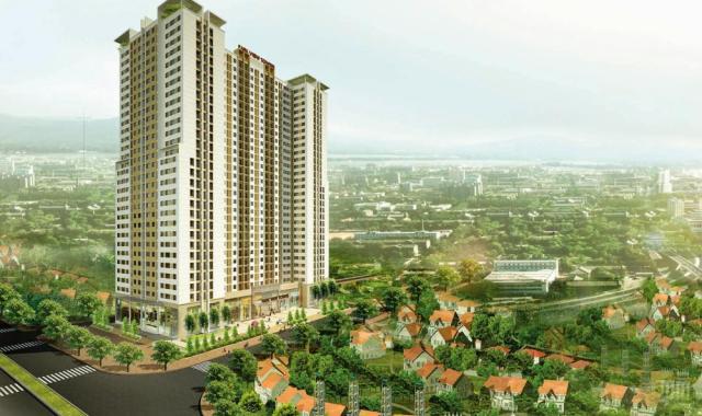 Bán căn hộ CC Đồng Phát Park View có nội thất, view đẹp, giá rẻ chỉ từ 19tr/m2, hỗ trợ vay 75%