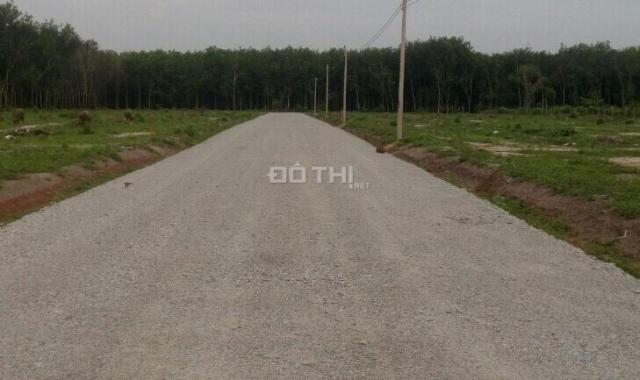 Đất nền Chơn Thành, MT đường tỉnh 36m, ĐT 749: 300tr/nền, 250m2/nền, cam kết sinh lợi sau 3 tháng