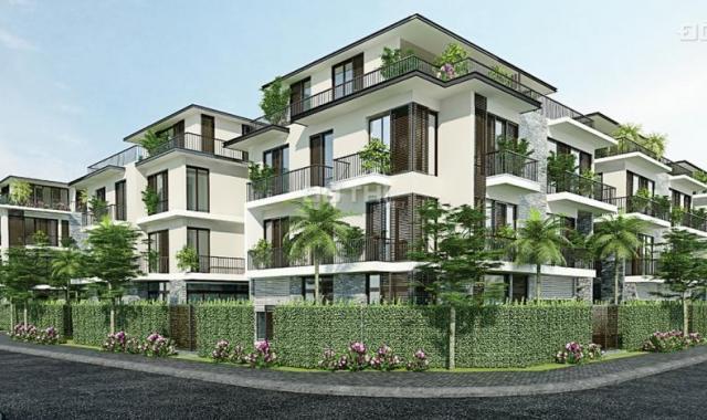 Bán nhà biệt thự, liền kề tại dự án The Eden Rose, Thanh Trì, Hà Nội, dt 88m2 giá 61 triệu/m2