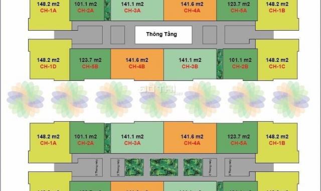 PAD: CT4 Vimeco II, Nguyễn Chánh DT 101m2 - 123.7m2 - 141m2 - 148.2m2, từ 29 tr/m2, 0904 897 255