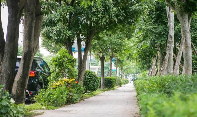 Khu đô thị xanh Hồng Hà Eco City hội tụ 42 tiện ích chăm sóc sức khỏe, chỉ từ 19tr/m2