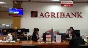 Ngân hàng Agribank phát mãi 5 lô đất Thạnh Xuân, Quận 12, 550tr/nền, thổ cư, bao móng cọc