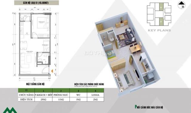 Chỉ với 120 triệu bạn đã có thể sở hữu chung cư 11T2 Xuân Mai, Chương Mỹ, Hà Nội