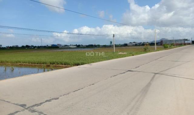 Bán đất tại Xã An Hải, Ninh Phước, Ninh Thuận. Diện tích 1500m2, giá 2,5 tỷ