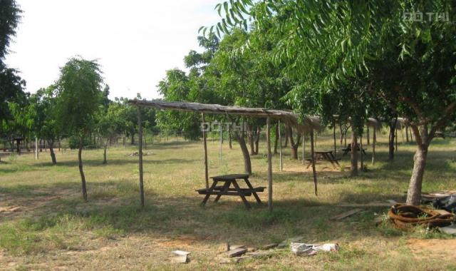 Bán 10 héc ta đất trang trại tại Lương Sơn, Bắc Bình, Bình Thuận. Tel 0938 666 848 (chủ đất)