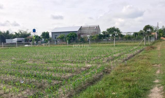 Bán đất vườn ngay mặt tiền đường Hương Lộ 2, xã Trung Lập Thượng, Củ Chi 600m2, 1 tỷ