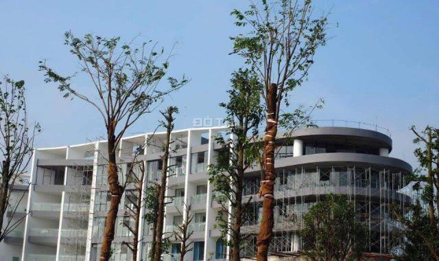 Bán đất KĐT Nam Vĩnh Yên, diện tích từ 100m2 đến 600m2, nhiều vị trí đẹp. LH: 0985.158.831