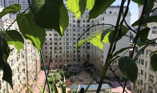 Bán căn hộ chung cư tại đường Mễ Trì, Nam Từ Liêm, Hà Nội, diện tích 105m2, giá 2.7 tỷ