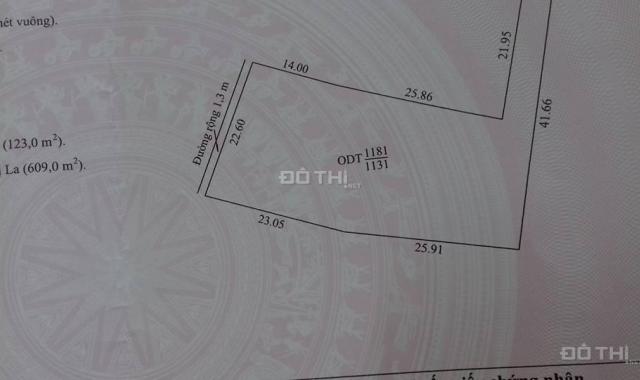 Bán 1.131m2 đất tại phường Sao Đỏ, thị xã Chí Linh